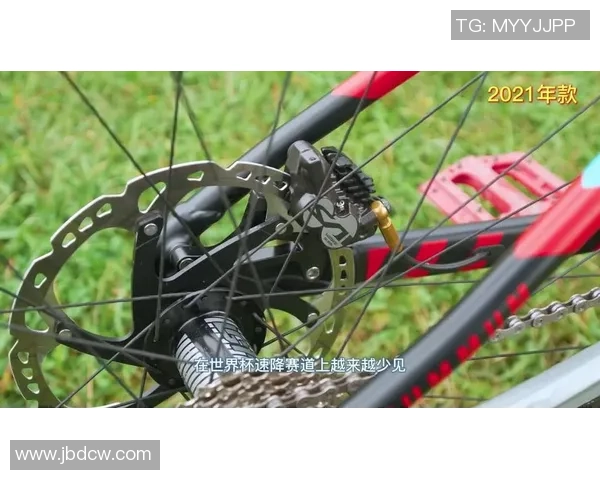 杭州极限运动队在世界杯中的战术分析与表现评估 杭州极限运动队在世界杯中的战术分析与表现评估